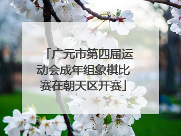 广元市第四届运动会成年组象棋比赛在朝天区开赛